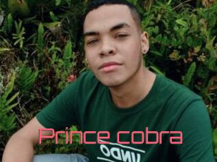 Prince_cobra