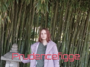 Prudencefigge