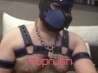 Puprush