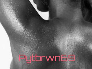 Pytbrwn69
