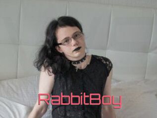 RabbitBoy