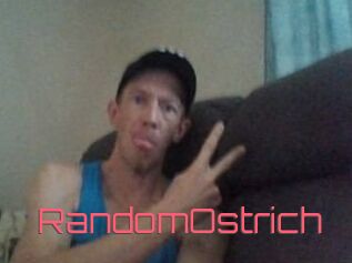 RandomOstrich