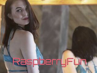 RaspberryFun