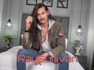 RaySullivan