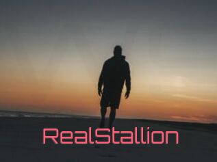 RealStallion