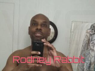 Rodney_Rabbit