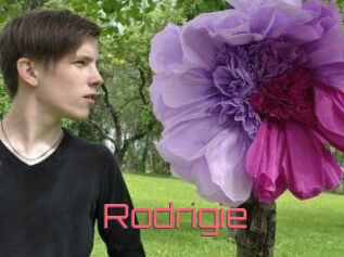 Rodrigie