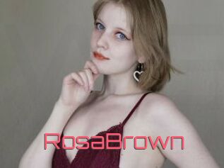 RosaBrown