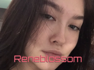 Reneblossom