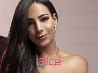 Rice