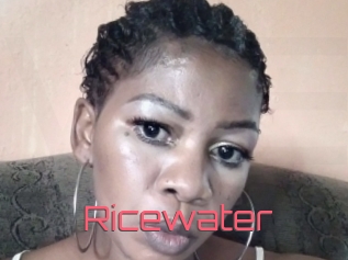 Ricewater