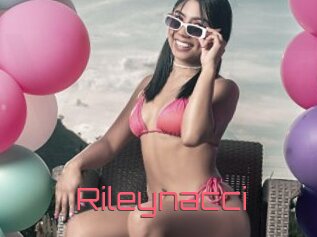Rileynacci