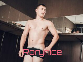 Rorynice