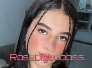 Rosebigboobss