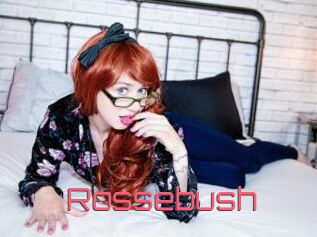 Rossebush