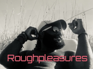 Roughpleasures