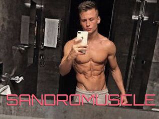 SANDRO_MUSCLE