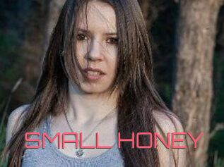 SMALL_HONEY