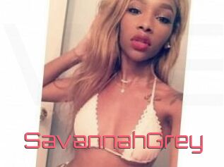 Savannah_Grey