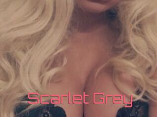 Scarlet_Grey