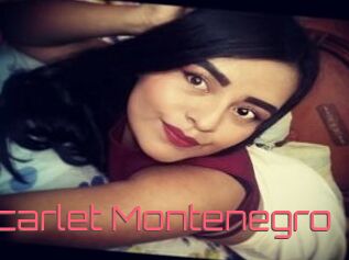 Scarlet_Montenegro
