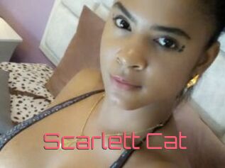 Scarlett_Cat