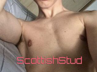 Scottish_Stud