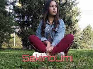 SekinoUmi