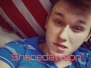 Shanedawson