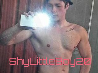 ShyLittleBoy20