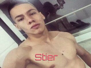 Stier