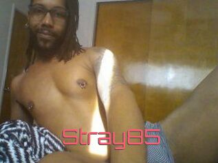 Stray85