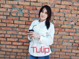 Tulip