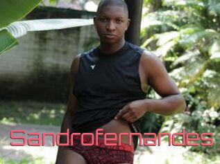 Sandrofernandes