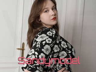 Sandymodel
