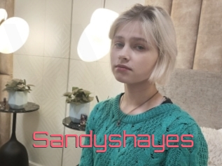 Sandyshayes