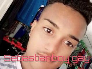 Sebastianboy_gay