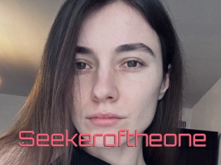 Seekeroftheone