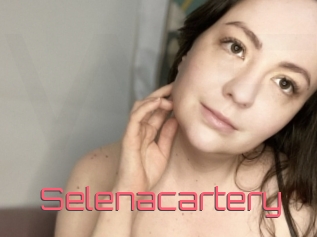 Selenacartery