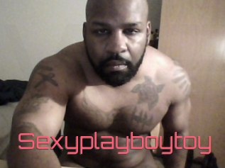 Sexyplayboytoy