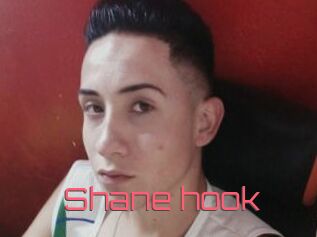 Shane_hook