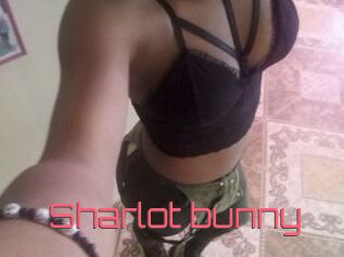 Sharlot_bunny
