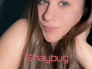 Shaybug
