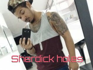 Sherdick_holes