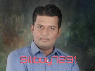 Siliboy7291