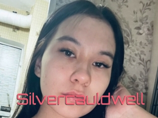 Silvercauldwell