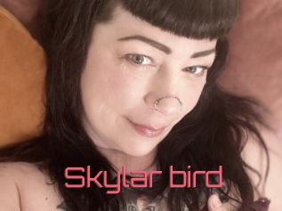 Skylar_bird
