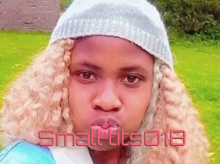 Small_tits018