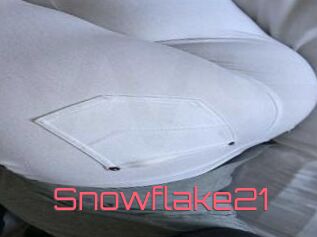 Snowflake21