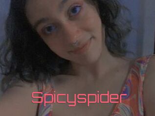 Spicyspider